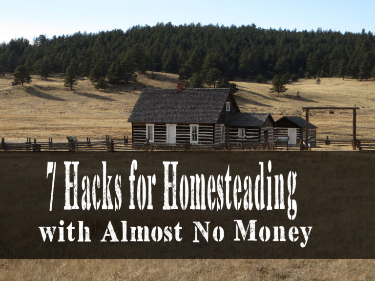 7 Hacks for Homesteading with Almost No Money - Survivalpunk